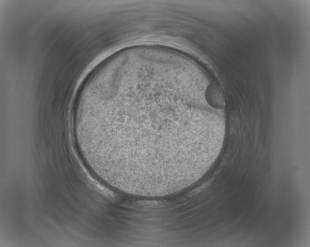 X0000080161517200701051552