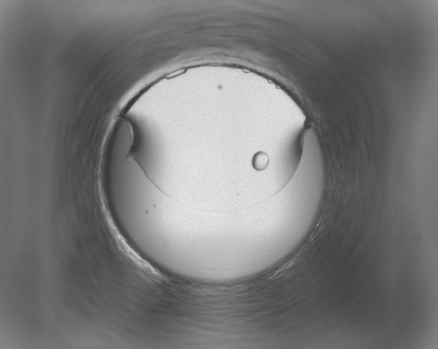 X0000080161518200701051552