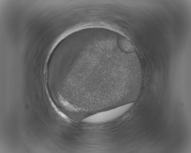 X0000080161519200701051552