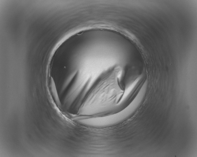 X0000080161520200701051552