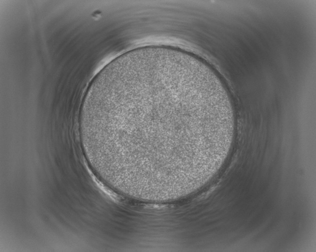 X0000080161521200701051552