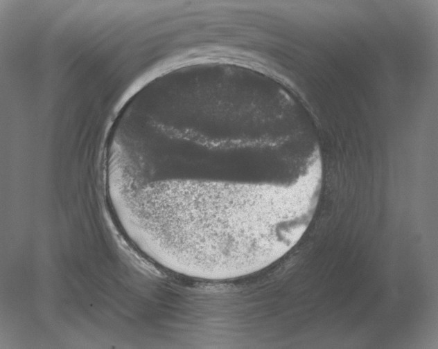 X0000080161522200701051552