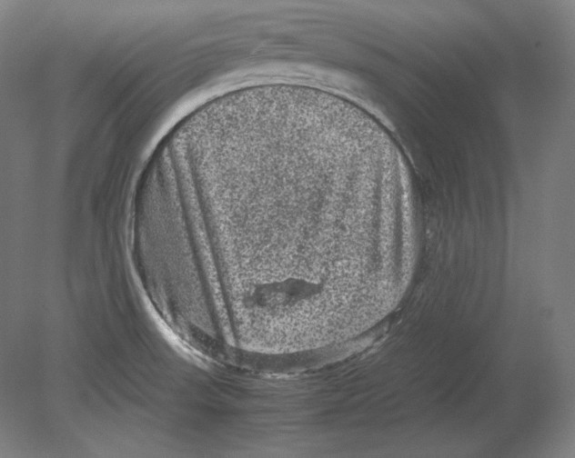 X0000080161523200701051552