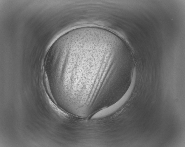 X0000080161524200701051552