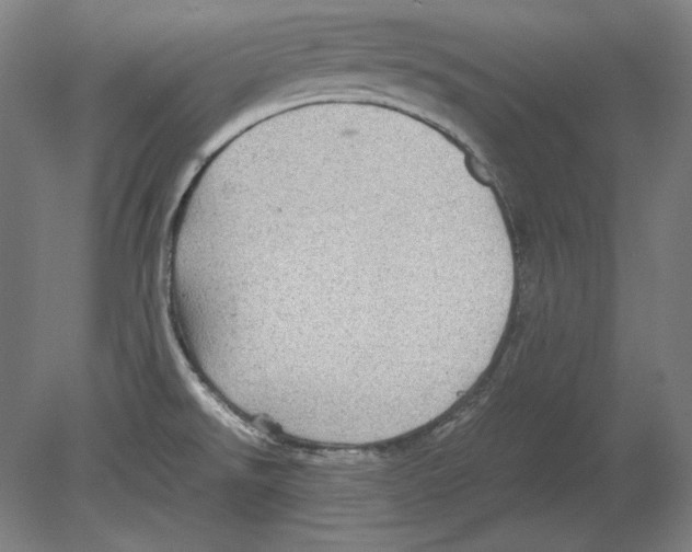 X0000080161526200701051552