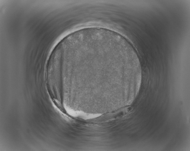 X0000080161527200701051552