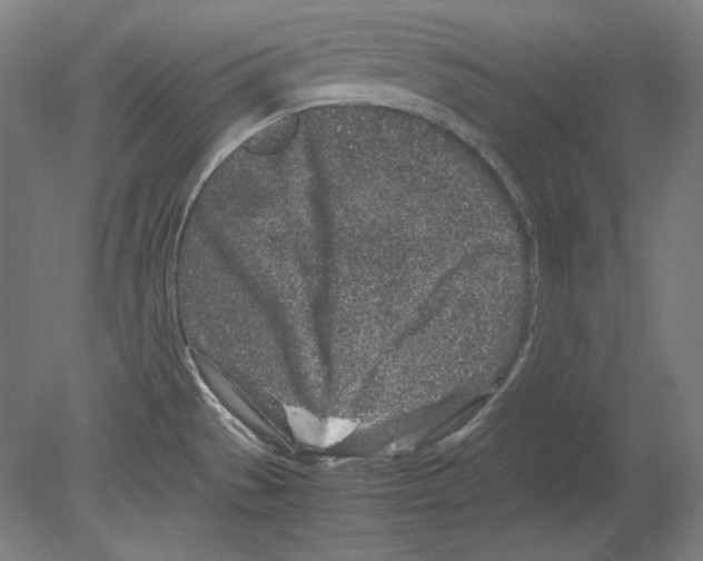 X0000080161529200701051552