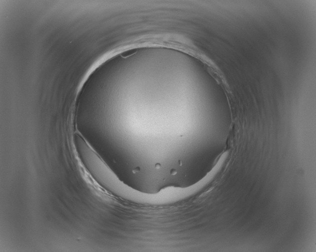 X0000080161530200701051552