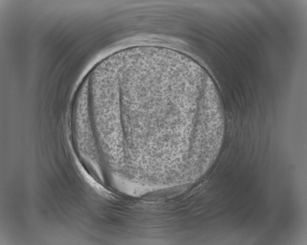 X0000080161531200701051552