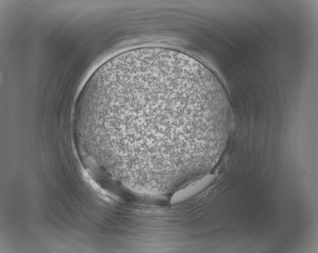 X0000080161532200701051552