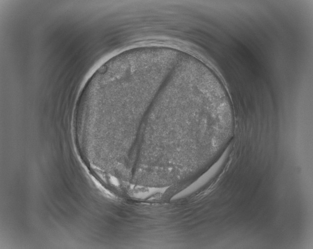 X0000080161533200701051552