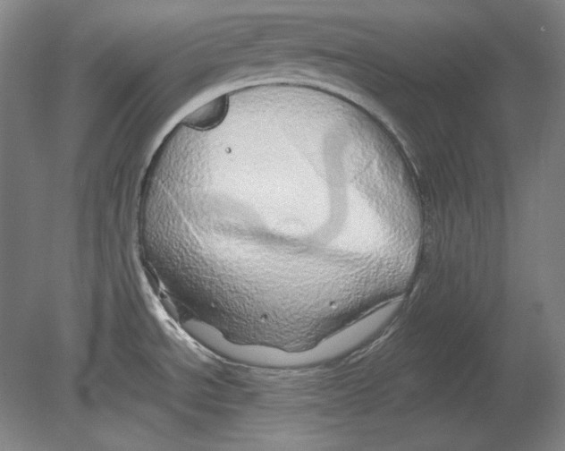 X0000080161534200701051552