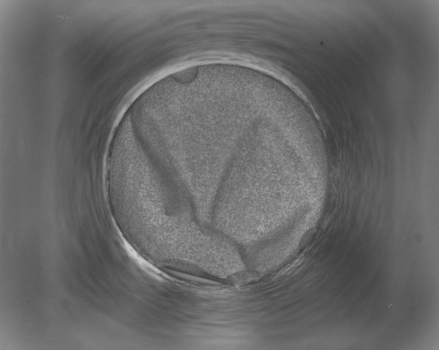 X0000080161535200701051552