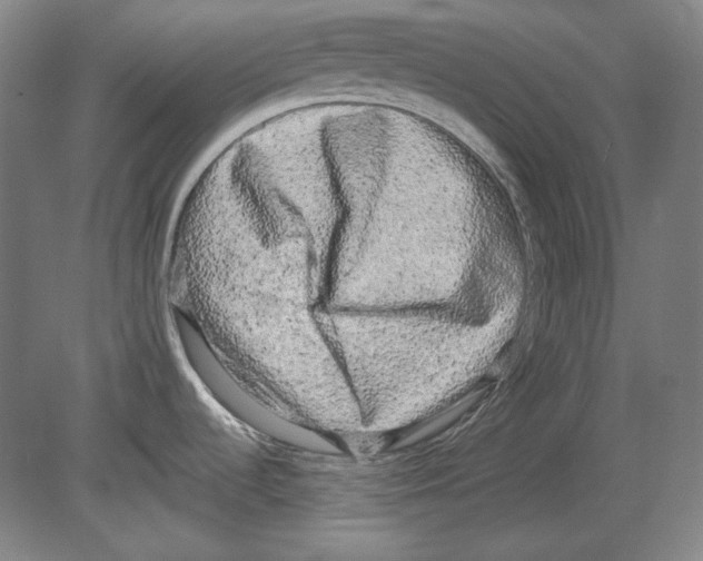 X0000080161536200701051552