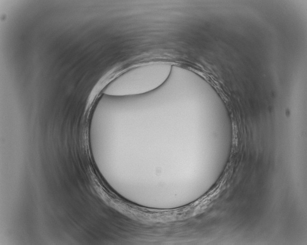X0000080170004200612081103
