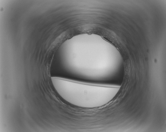 X0000080170044200612081103