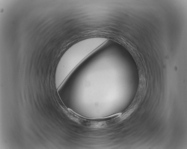 X0000080170096200612081103