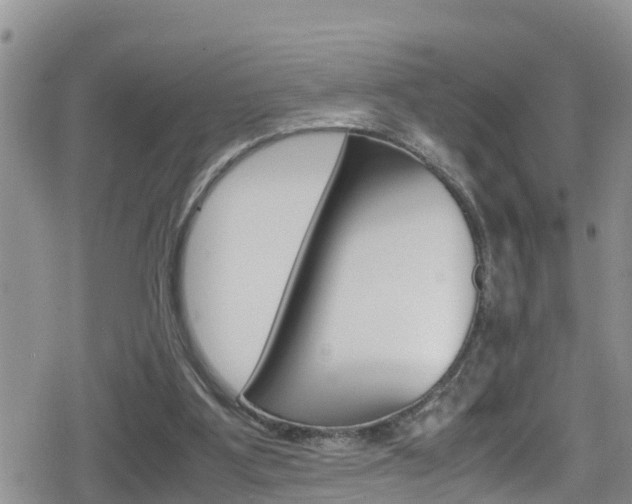 X0000080170107200612081102