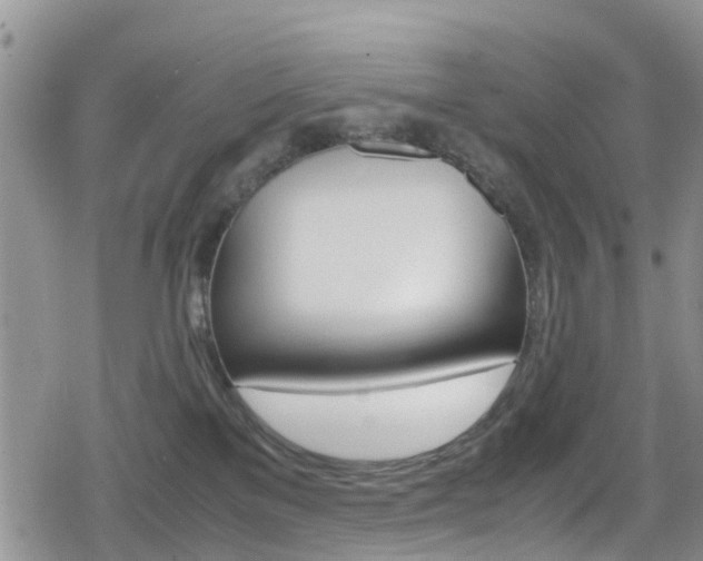 X0000080170137200612081101