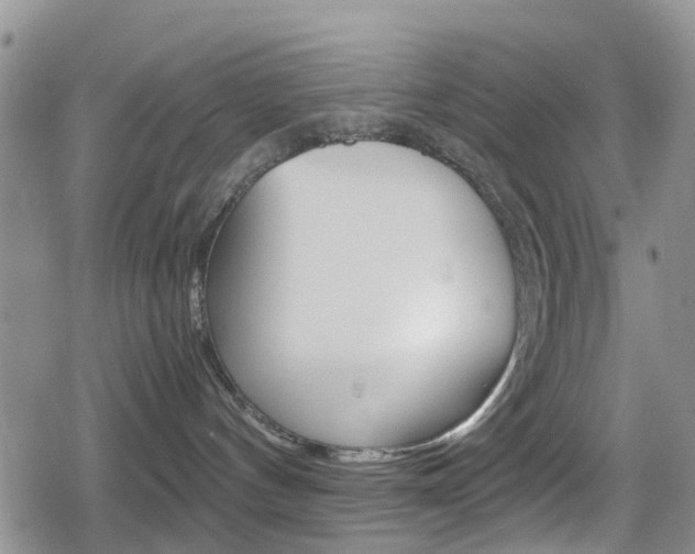 X0000080170144200612081101