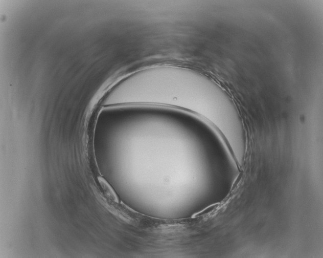 X0000080170150200612081100