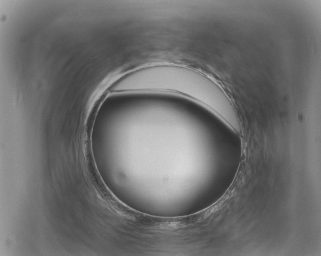 X0000080170152200612081101