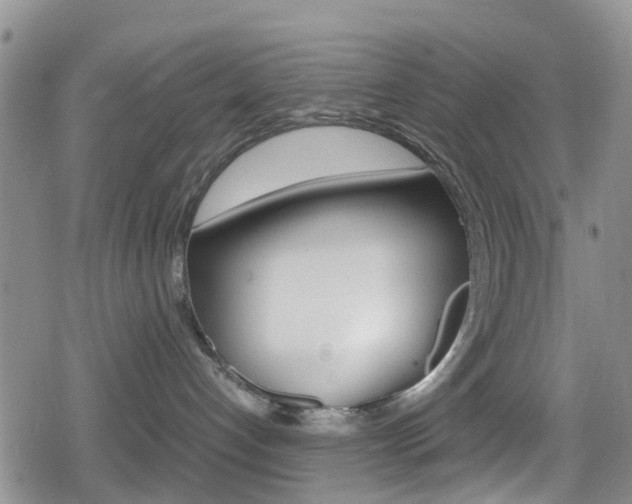 X0000080170192200612081101