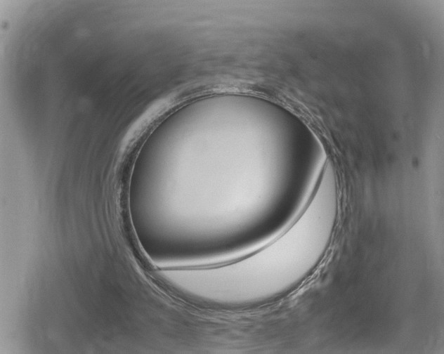 X0000080170197200612081100