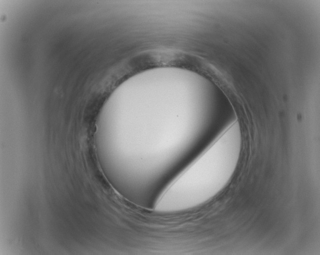 X0000080170221200612081100