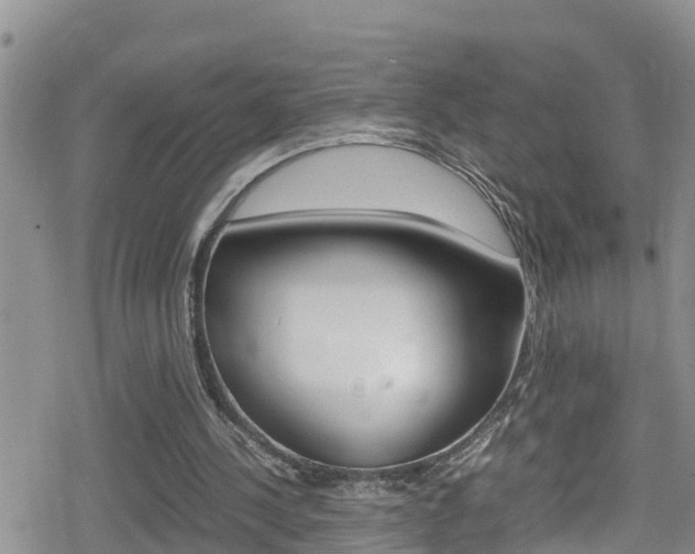 X0000080170244200612081059