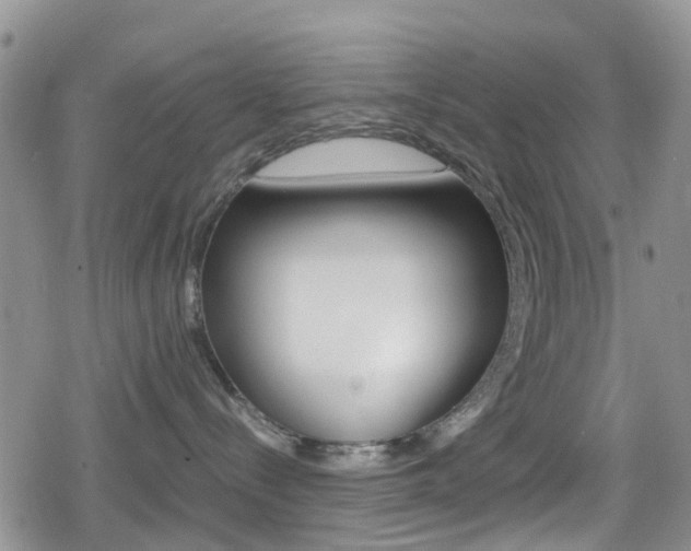 X0000080170288200612081100