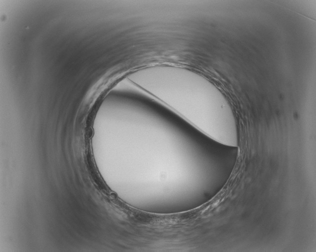 X0000080170291200612081059