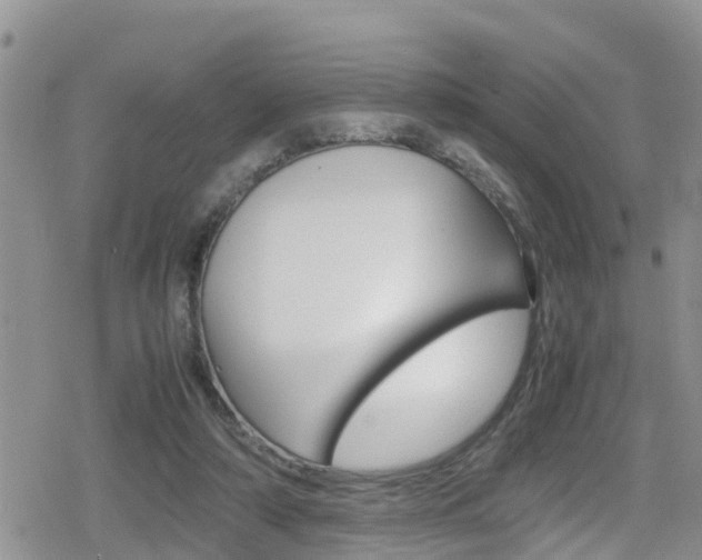 X0000080170306200612081059