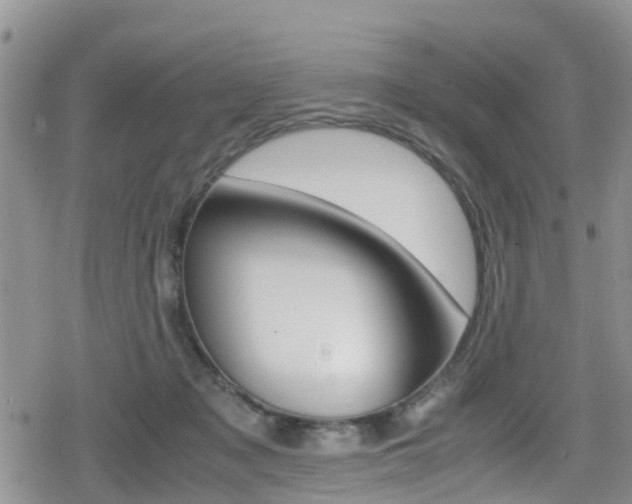 X0000080170317200612081058