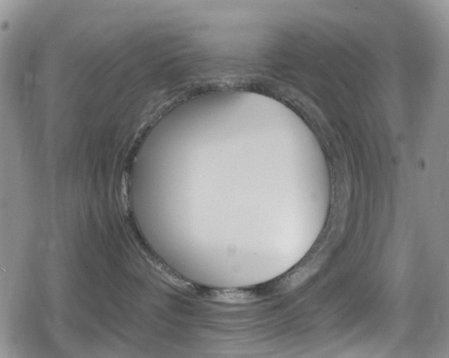 X0000080170336200612081058