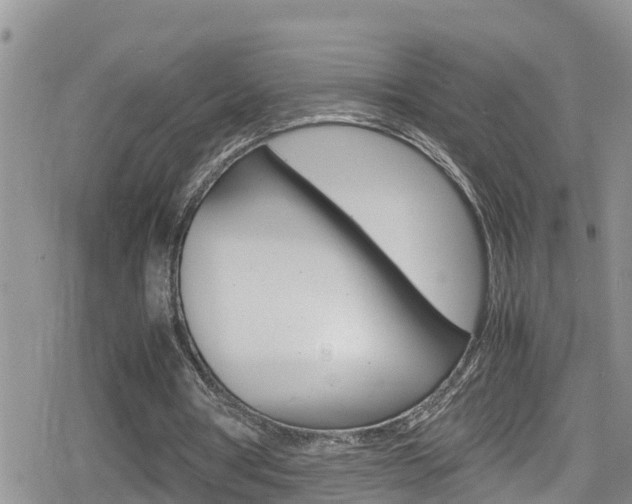 X0000080170386200612081057