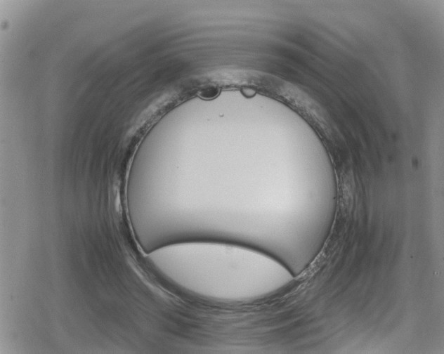 X0000080170398200612081057