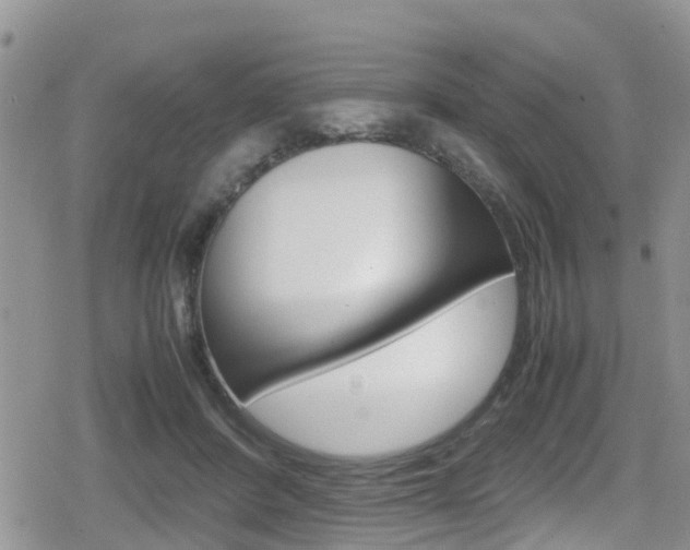 X0000080170408200612081057