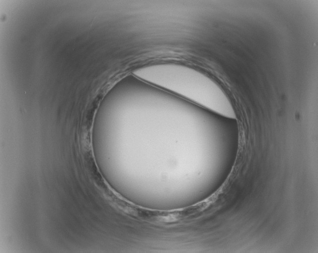 X0000080170411200612081057