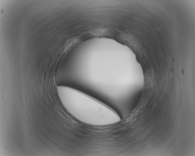 X0000080170479200612081057