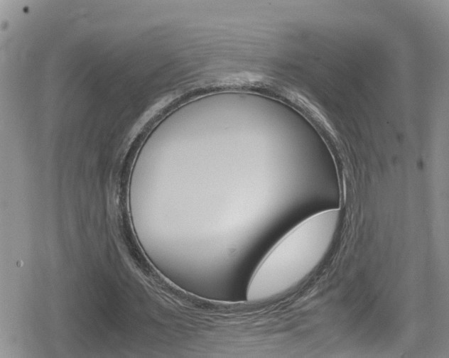 X0000080170483200612081056