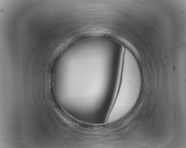 X0000080170493200612081056