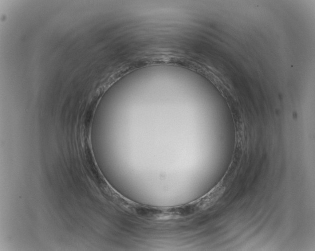 X0000080170504200612081055