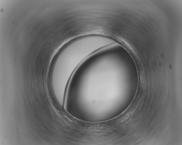 X0000080170532200612081054