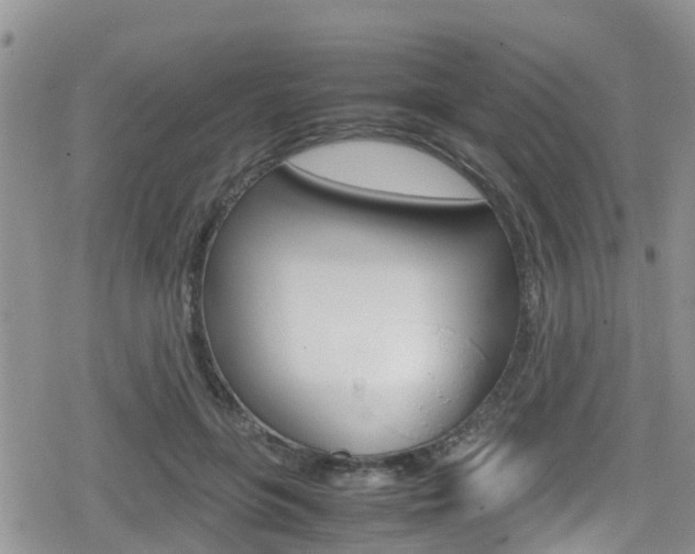 X0000080170551200612081055