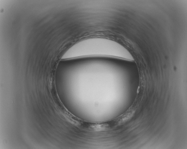 X0000080170558200612081055