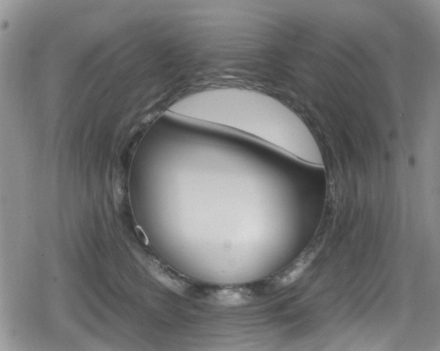 X0000080170566200612081055