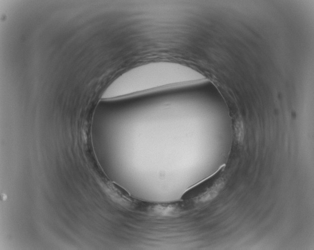 X0000080170570200612081055