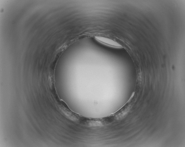 X0000080170572200612081055