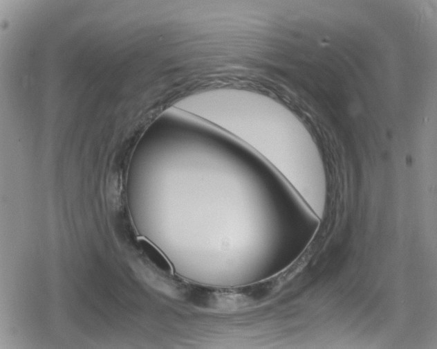 X0000080170605200612081054